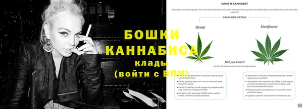 винт Белокуриха